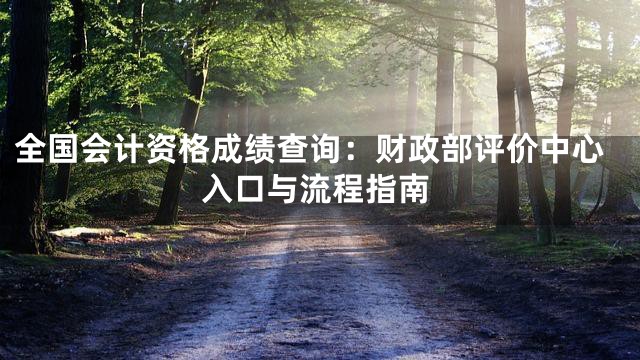 全国会计资格成绩查询：财政部评价中心入口与流程指南