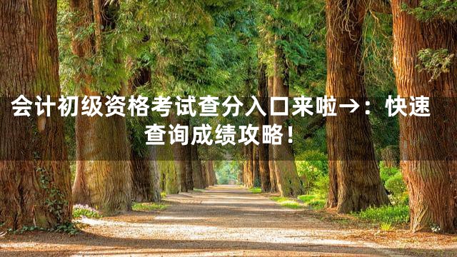 会计初级资格考试查分入口来啦→：快速查询成绩攻略！