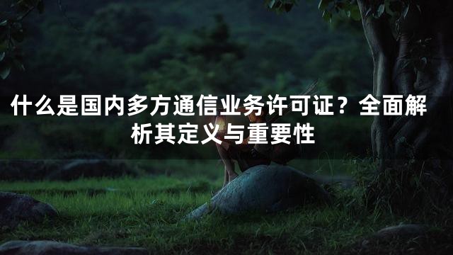 什么是国内多方通信业务许可证？全面解析其定义与重要性
