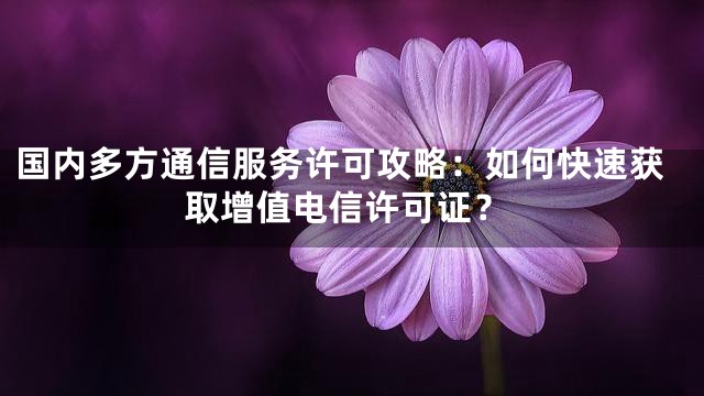 国内多方通信服务许可攻略：如何快速获取增值电信许可证？