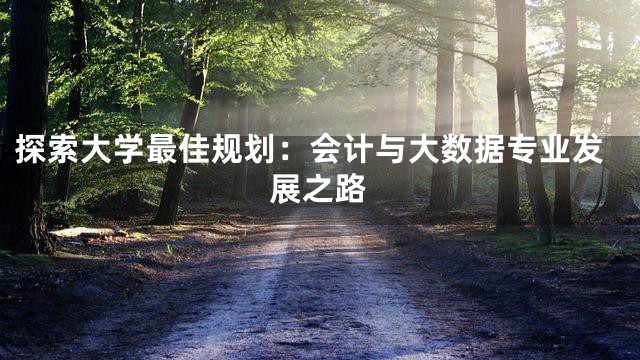 探索大学最佳规划：会计与大数据专业发展之路