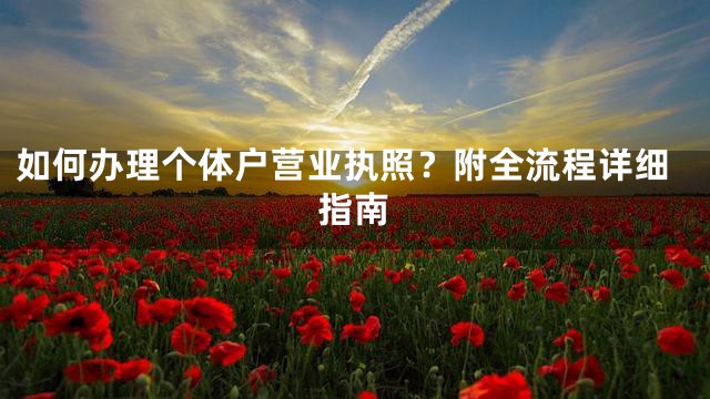 如何办理个体户营业执照？附全流程详细指南