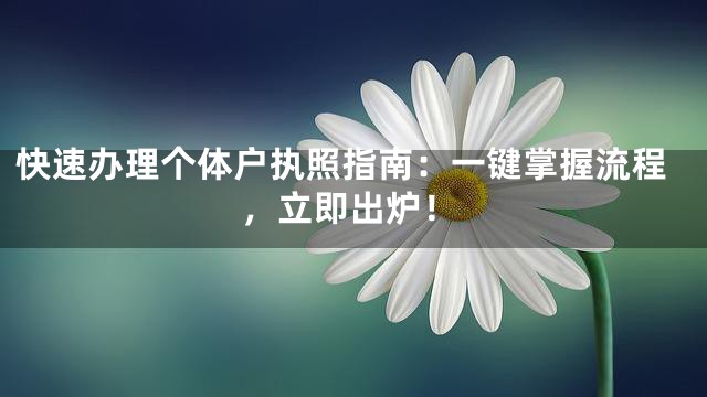快速办理个体户执照指南：一键掌握流程，立即出炉！