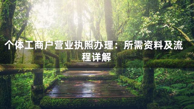 个体工商户营业执照办理：所需资料及流程详解