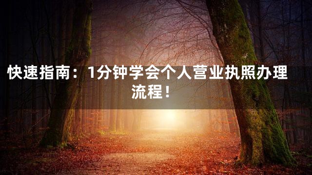 快速指南：1分钟学会个人营业执照办理流程！