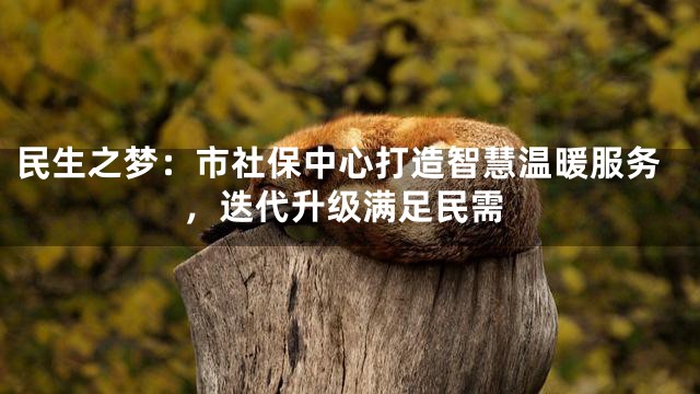 民生之梦：市社保中心打造智慧温暖服务，迭代升级满足民需