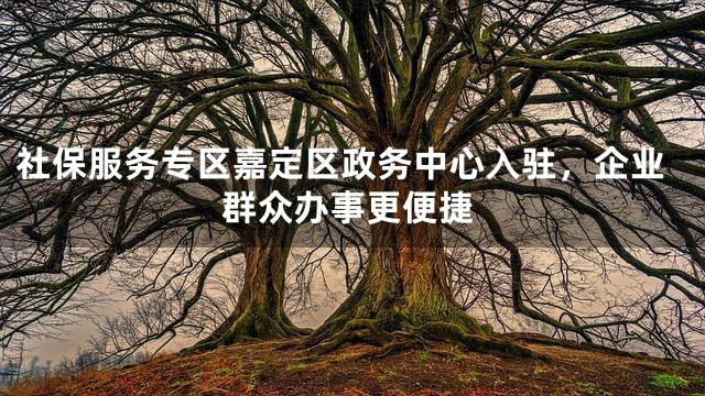 社保服务专区嘉定区政务中心入驻，企业群众办事更便捷