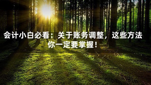 会计小白必看：关于账务调整，这些方法你一定要掌握！