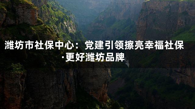 潍坊市社保中心：党建引领擦亮幸福社保·更好潍坊品牌