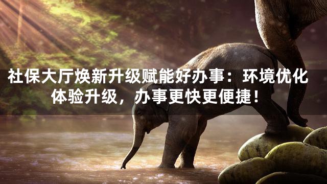 社保大厅焕新升级赋能好办事：环境优化体验升级，办事更快更便捷！
