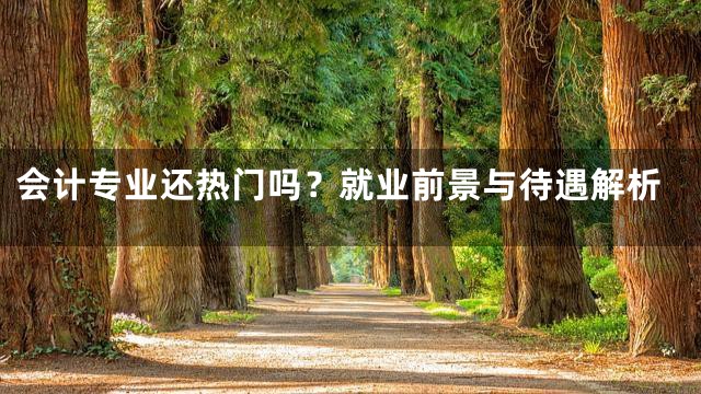 会计专业还热门吗？就业前景与待遇解析