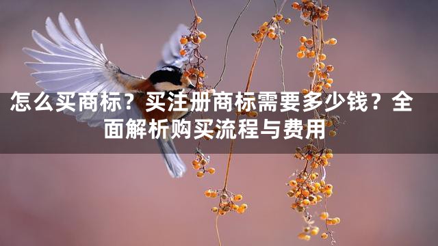 怎么买商标？买注册商标需要多少钱？全面解析购买流程与费用