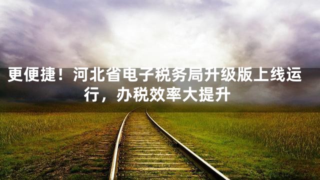 更便捷！河北省电子税务局升级版上线运行，办税效率大提升