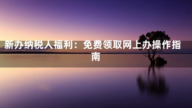 新办纳税人福利：免费领取网上办操作指南