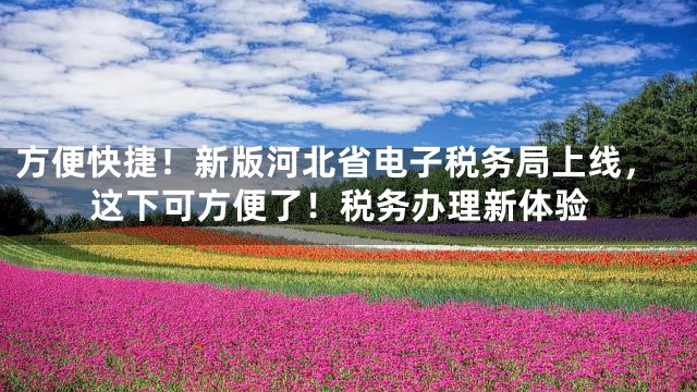 方便快捷！新版河北省电子税务局上线，这下可方便了！税务办理新体验