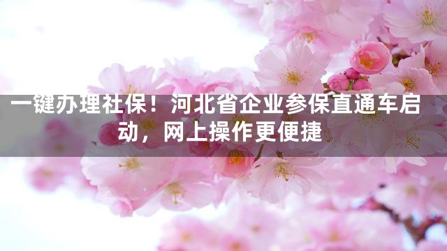 一键办理社保！河北省企业参保直通车启动，网上操作更便捷