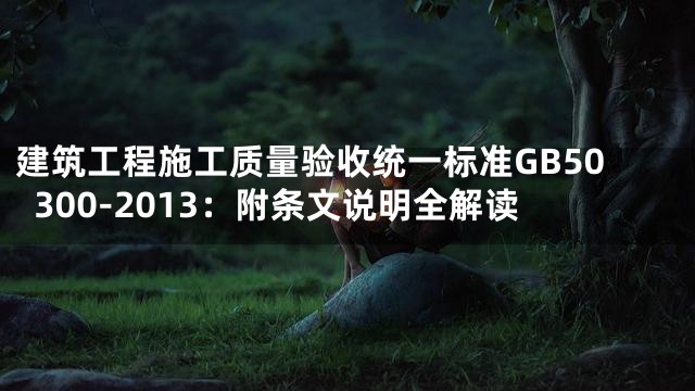 建筑工程施工质量验收统一标准GB50300-2013：附条文说明全解读