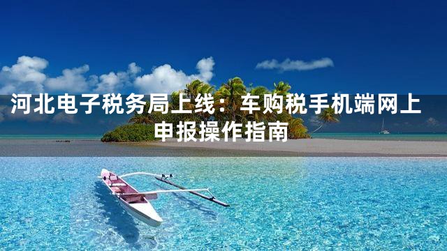 河北电子税务局上线：车购税手机端网上申报操作指南