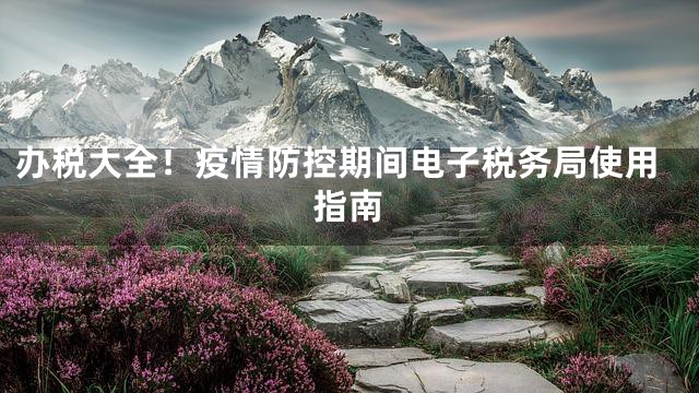 办税大全！疫情防控期间电子税务局使用指南