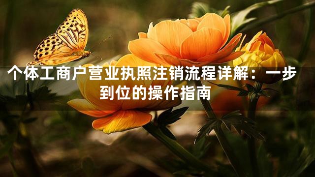 个体工商户营业执照注销流程详解：一步到位的操作指南