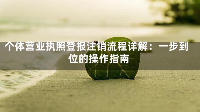个体营业执照登报注销流程详解：一步到位的操作指南