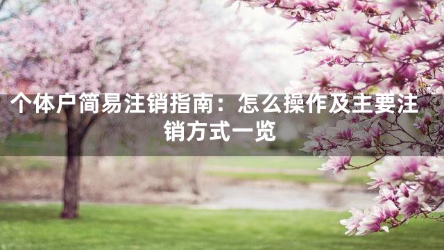 个体户简易注销指南：怎么操作及主要注销方式一览
