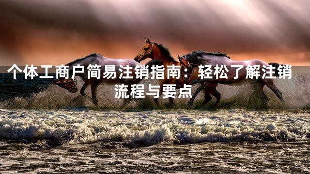 个体工商户简易注销指南：轻松了解注销流程与要点