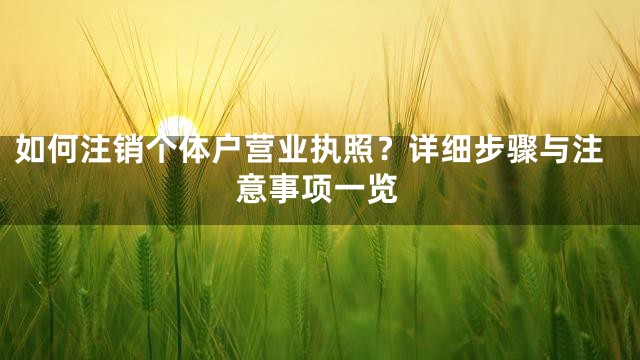 如何注销个体户营业执照？详细步骤与注意事项一览