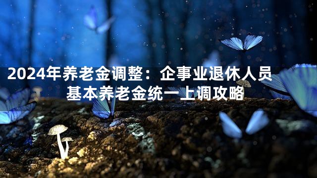 2024年养老金调整：企事业退休人员基本养老金统一上调攻略