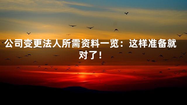 公司变更法人所需资料一览：这样准备就对了！