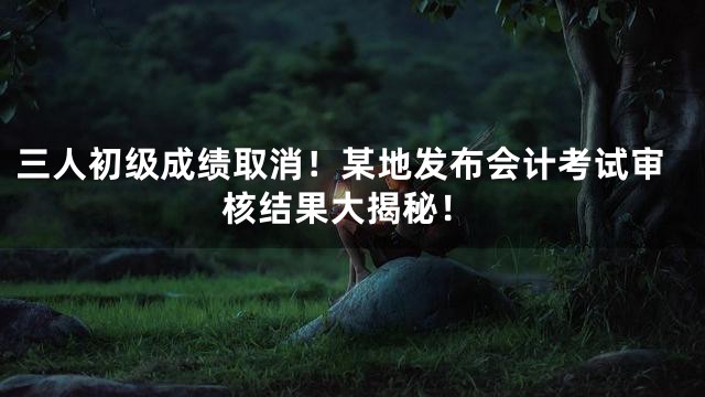三人初级成绩取消！某地发布会计考试审核结果大揭秘！