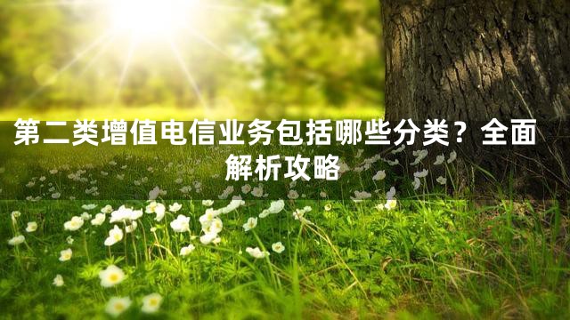 第二类增值电信业务包括哪些分类？全面解析攻略