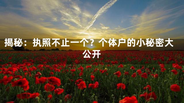 揭秘：执照不止一个？个体户的小秘密大公开