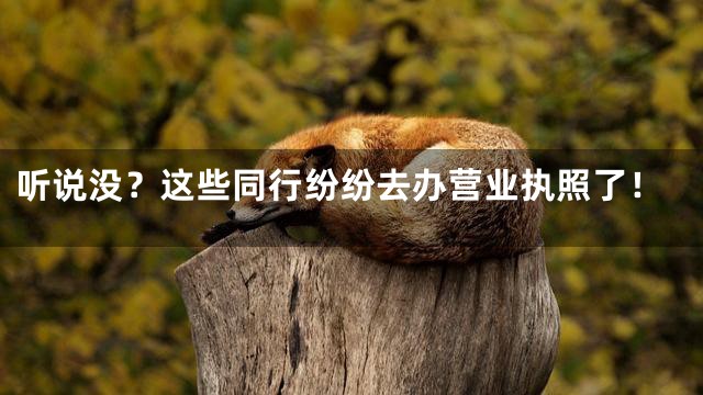 听说没？这些同行纷纷去办营业执照了！
