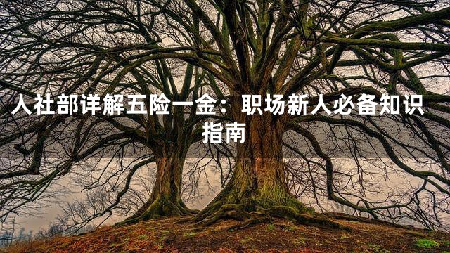 人社部详解五险一金：职场新人必备知识指南