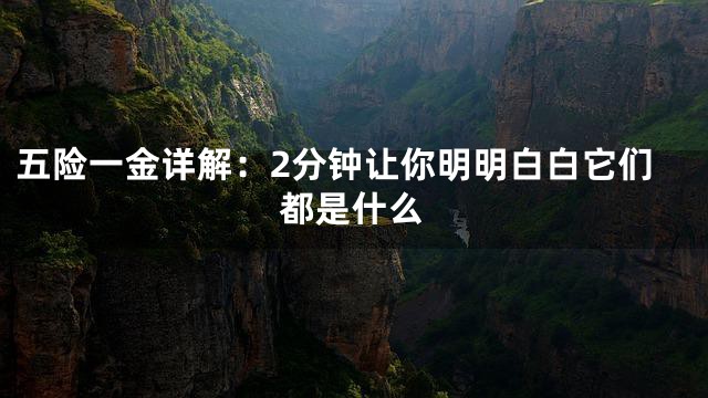 五险一金详解：2分钟让你明明白白它们都是什么