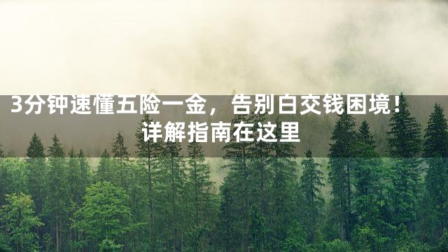 3分钟速懂五险一金，告别白交钱困境！详解指南在这里