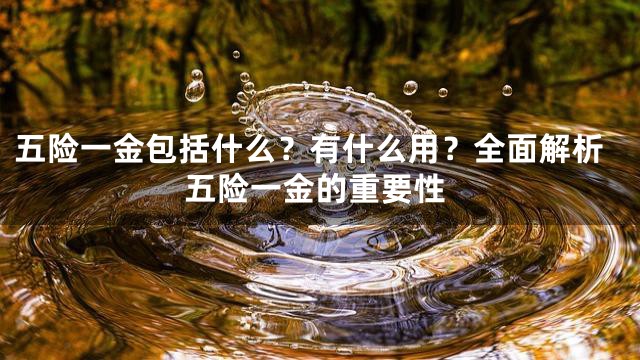 五险一金包括什么？有什么用？全面解析五险一金的重要性