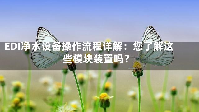 EDI净水设备操作流程详解：您了解这些模块装置吗？