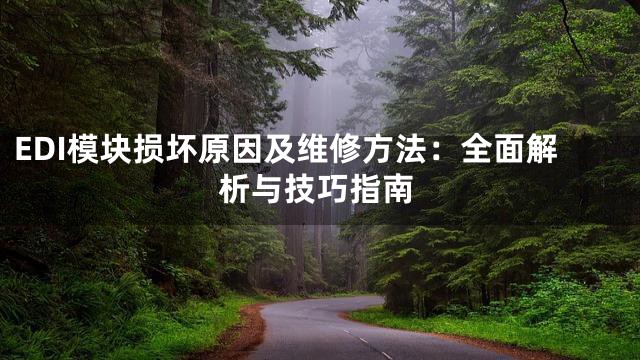 EDI模块损坏原因及维修方法：全面解析与技巧指南