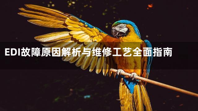 EDI故障原因解析与维修工艺全面指南
