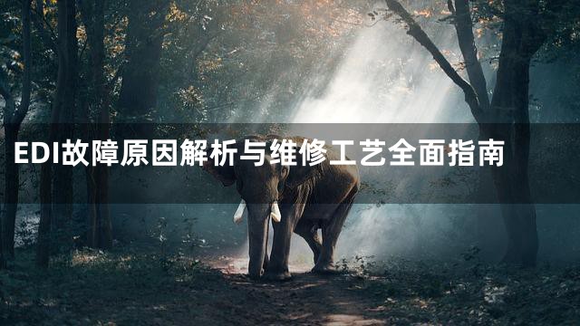 EDI故障原因解析与维修工艺全面指南