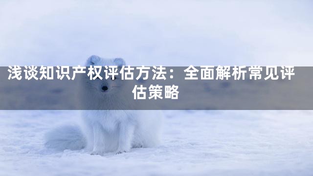 浅谈知识产权评估方法：全面解析常见评估策略
