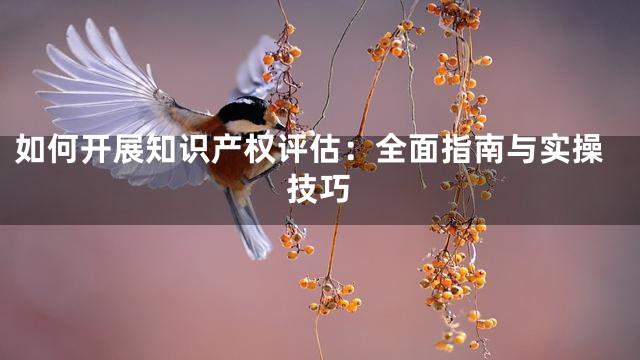 如何开展知识产权评估：全面指南与实操技巧