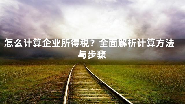 怎么计算企业所得税？全面解析计算方法与步骤
