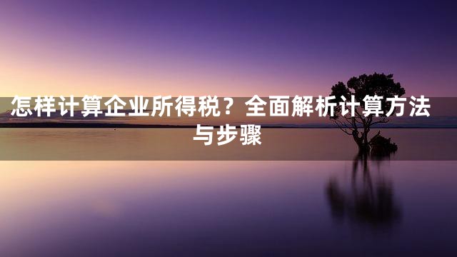 怎样计算企业所得税？全面解析计算方法与步骤