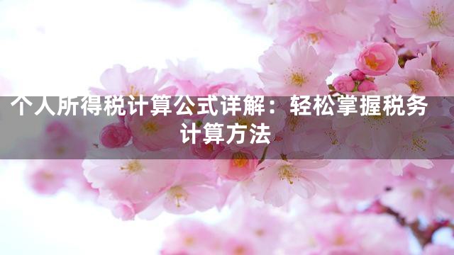 个人所得税计算公式详解：轻松掌握税务计算方法