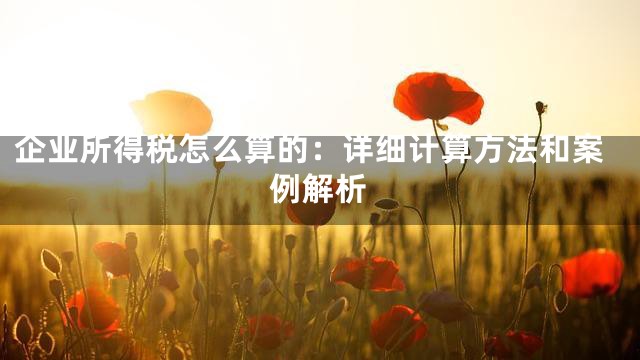 企业所得税怎么算的：详细计算方法和案例解析