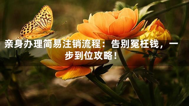 亲身办理简易注销流程：告别冤枉钱，一步到位攻略！