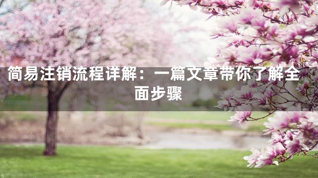 简易注销流程详解：一篇文章带你了解全面步骤